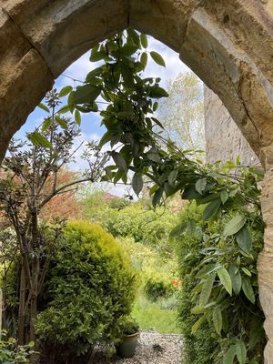 Photo 15- click for photo gallery